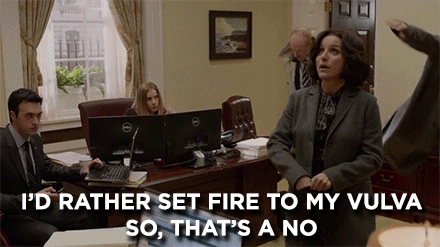The 10 Best Veep's Quotes  M&K SERIAL BLOGGERS